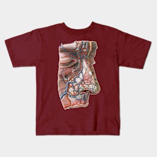 Vintage Human Anatomy, Blood Veins of the Face and Nose Kids T-Shirt